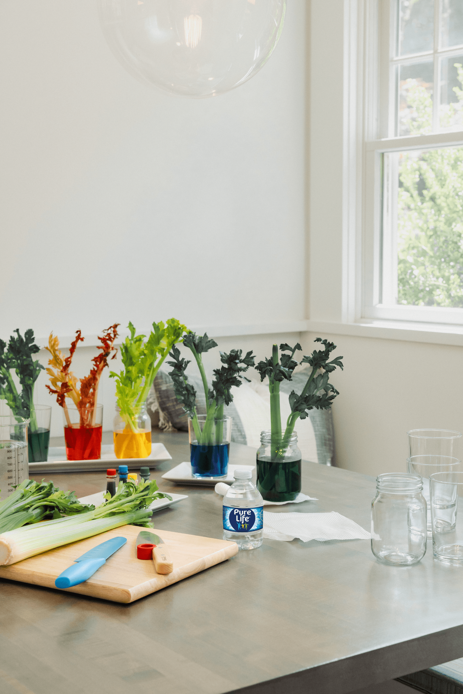 celery experiment